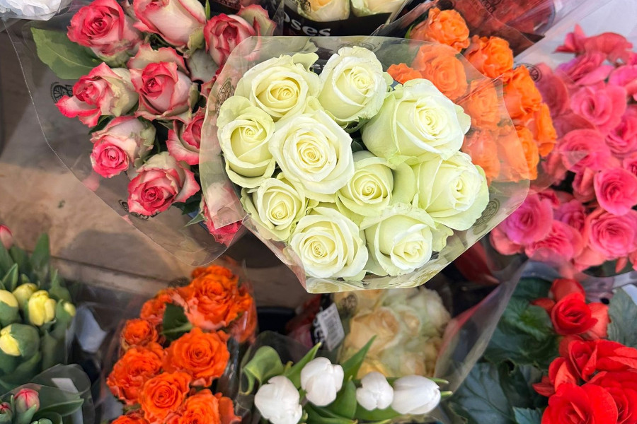 bunte Blumen bunte Blumen