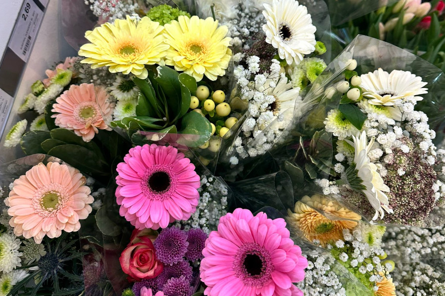 frische Blumen frische Blumen